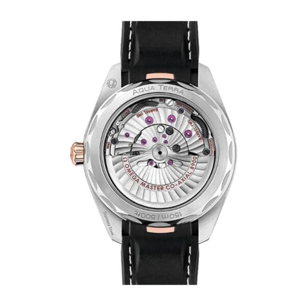 Seamaster Silver Dial 220.22.41.21.02.001