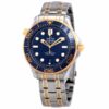 omega-seamaster-blue-steel-and-18k-yellow-gold-210.20.42.20.03.001.jpg Omega Master Gold Replica