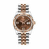 Datejust 116231-0105 Chocolate Floral Dial